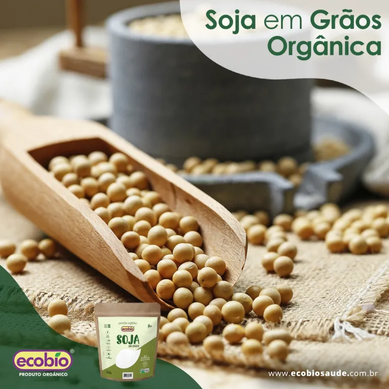 Soja em grãos Orgânica
